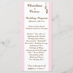 25 4x9 Wedding Program Birdcage/Pink Stripes cage Programme