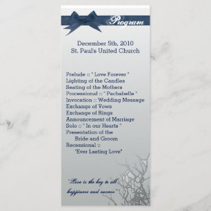 25 4x9 Wedding Program Frosted Glass Cracked Mirro Programme