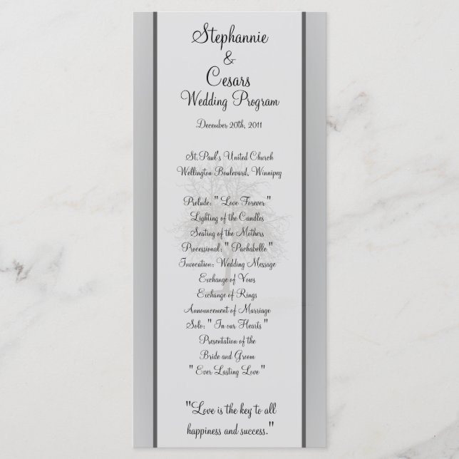 25 4x9 Wedding Program Grey Winter Trees Snow Bare Programme (Front)