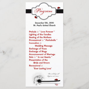 25 4x9 Wedding Program Lady Bug Dandilion Flower Programme
