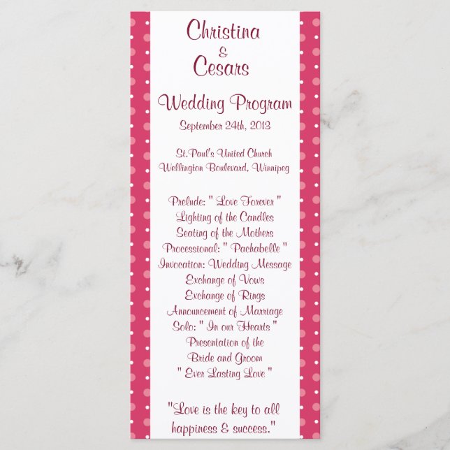 25 4x9 Wedding Program Love Birds Pink Stripes/Dot Programme (Front)