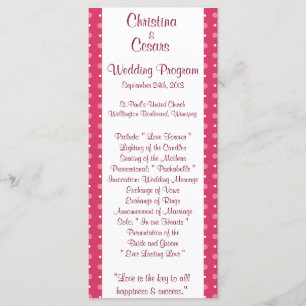 25 4x9 Wedding Program Love Birds Pink Stripes/Dot Programme