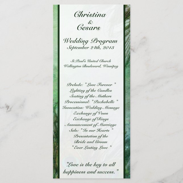 25 4x9 Wedding Program Peacock Green Feathers Programme (Front)