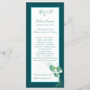 25 Modern Teal Peacock Wedding Programs Programme