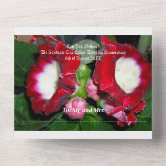 25th wedding silver anniversary invitation