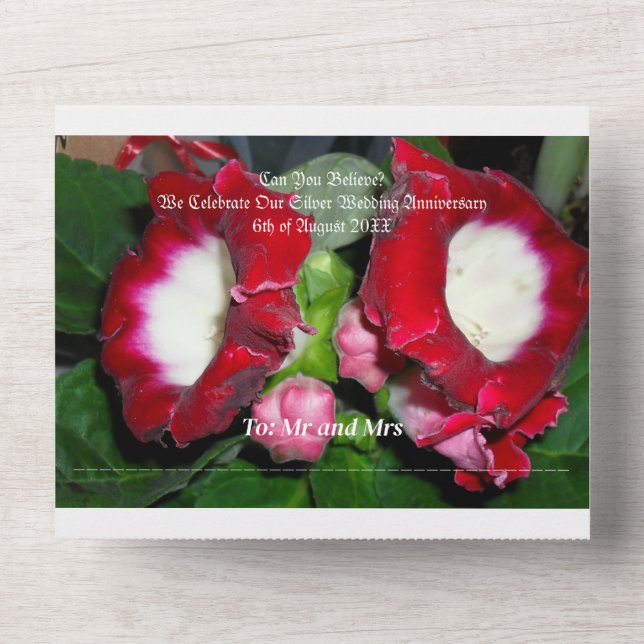 25th wedding silver anniversary invitation  (Front)