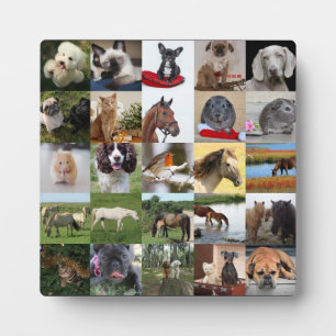 25xPhoto Colage Plaque - ANY Occasions