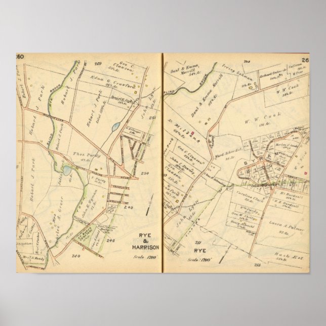 260261 Rye, Harrison Poster (Front)