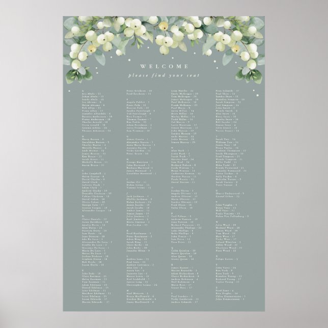 26 x 38" Alphabetical Seating Chart for 250 People (Front)