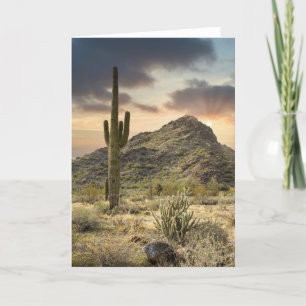 2767-Arizona Desert Landscape with Sun Rays Holiday Card