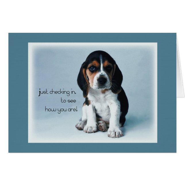 2769 Puppy Checking In (Front Horizontal)