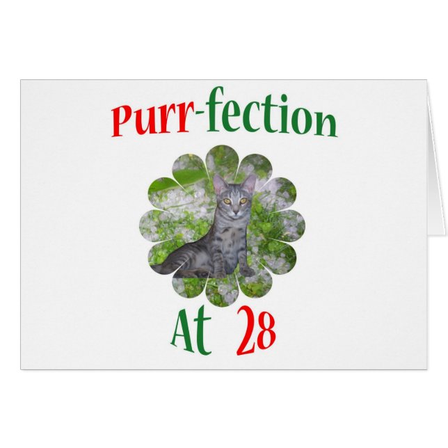 28 Purr-fection (Front Horizontal)