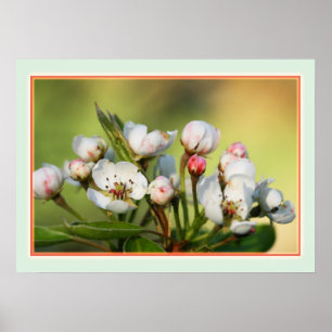 28" x 20", Value Poster Paper (Matte)