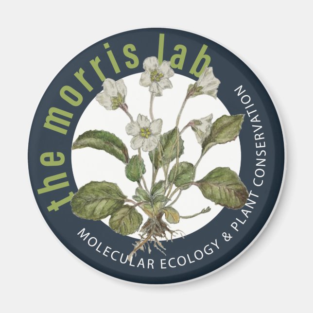 2 1/4 in round magnet with Morris Lab logo (Front)