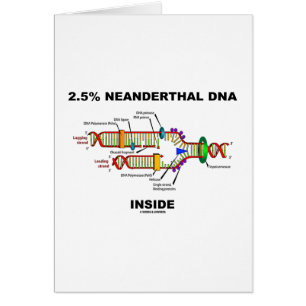 2.5% Neanderthal DNA Inside (DNA Replication)