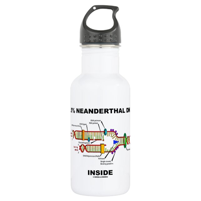 2.5% Neanderthal DNA Inside (DNA Replication) 532 Ml Water Bottle (Front)