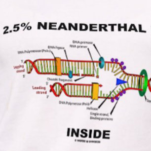 2.5% Neanderthal DNA Inside (DNA Replication) T-Shirt