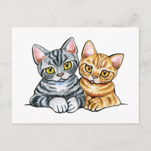 2 American Shorthairs Postcard