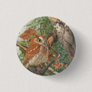 2 angry vintage owls in a tree 3 cm round badge