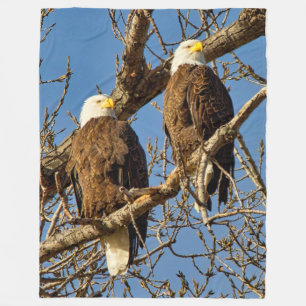 2 BALD EAGLES FLEECE BLANKET