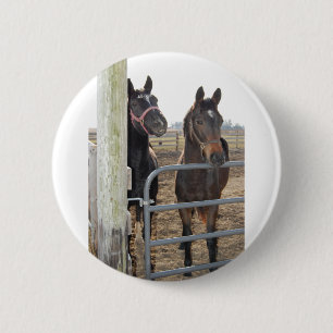 2 Barn Horses 6 Cm Round Badge