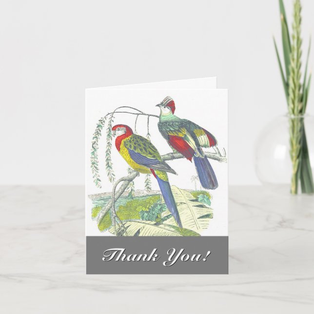 2 Birds Perched on a Branch, "Thank You!" Card (Front)