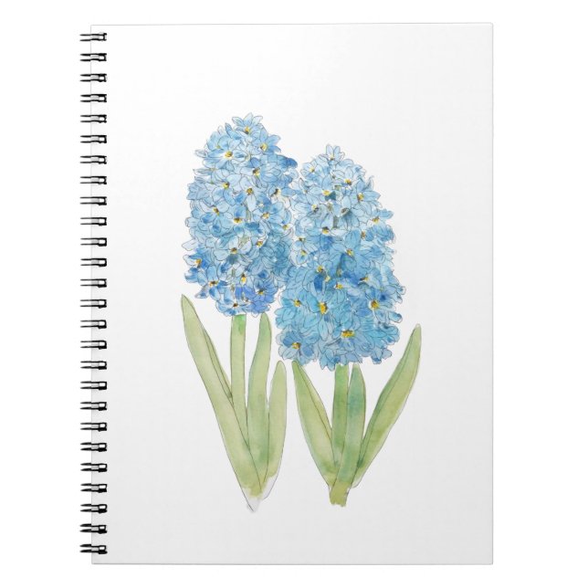 2 blue hyacinth ink and watercolor notebook (Front)
