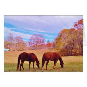 2 Brown horses in a coloured field