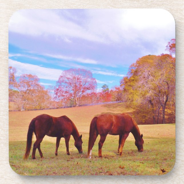 2 Brown horses in a coloured field Coaster (Front)