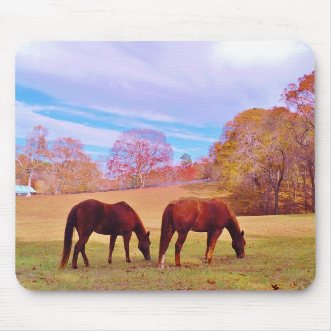2 Brown horses in a coloured field Mouse Pad (Front)