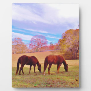 2 Brown horses in a coloured field Plaque