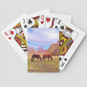 2 Brown horses in a coloured field Playing Cards