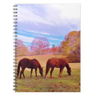 2 Brown horses in a coloured field Spiral Notebook