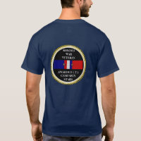 2 CAMPAIGN STARS KOSOVO WAR VETERAN