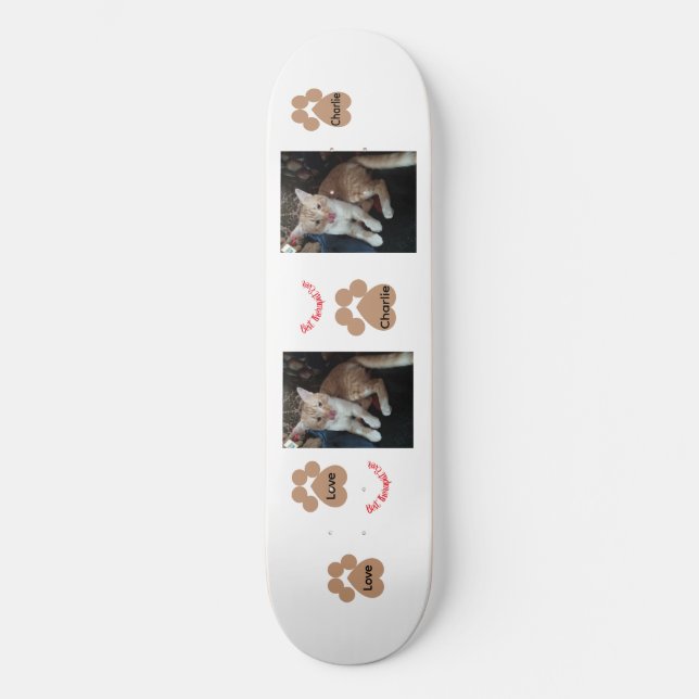  2 cat photos, best therapist,  skateboard (Front)