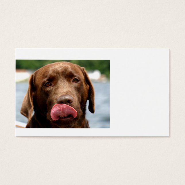 2 Chocolate_Lab.png (Front)