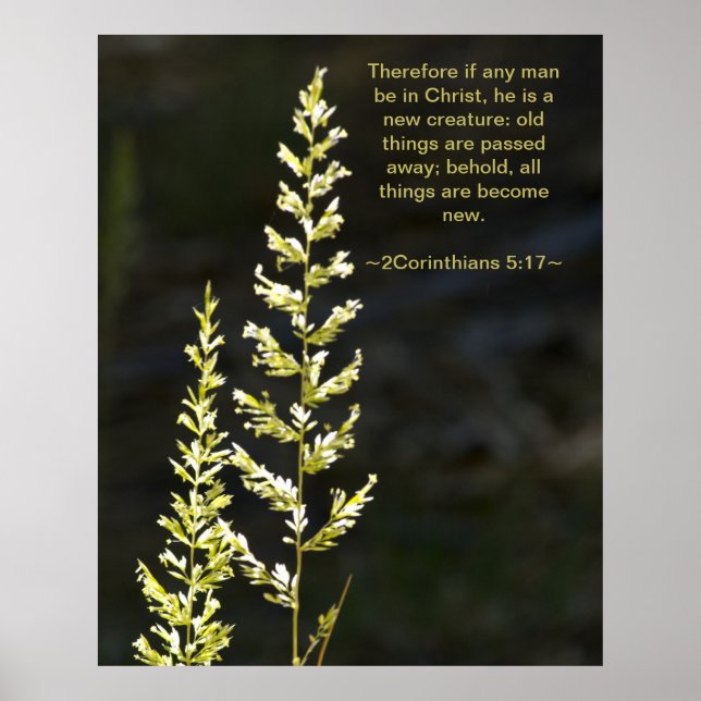 2 Corinthians 5:17 Poster (Front)