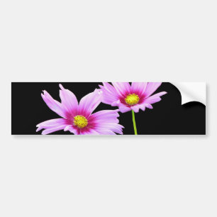 2 Cosmos Bumper Sticker