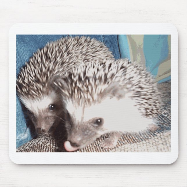2 cute hedgehogs mouse pad (Front)