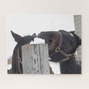2 Cute Horses Chewing on a Fence Post Jigsaw Puzzle