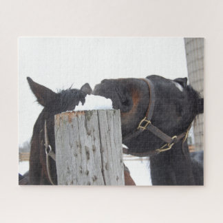 2 Cute Horses Chewing on a Fence Post Jigsaw Puzzle