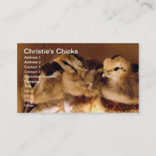 2-day-old Chicks, Christie's Chicks Business Card