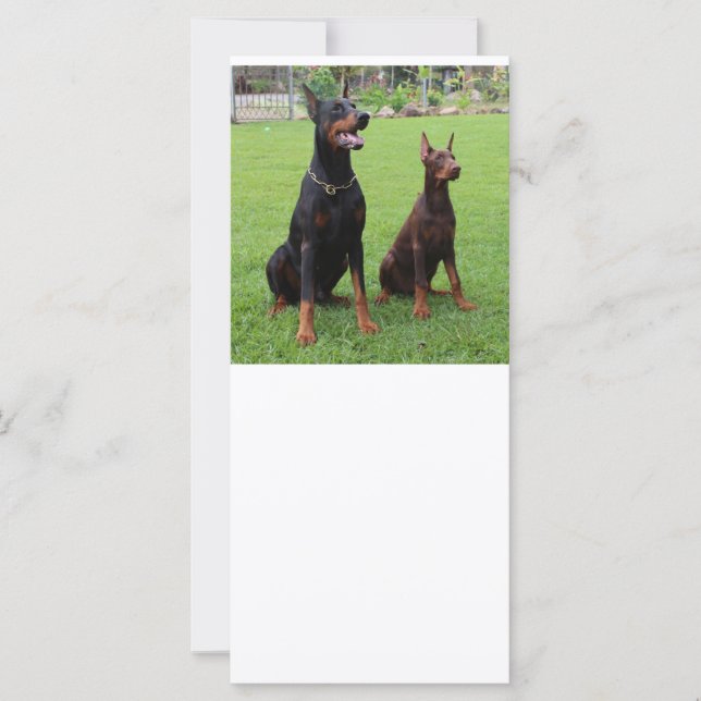 2 dobies (Front)