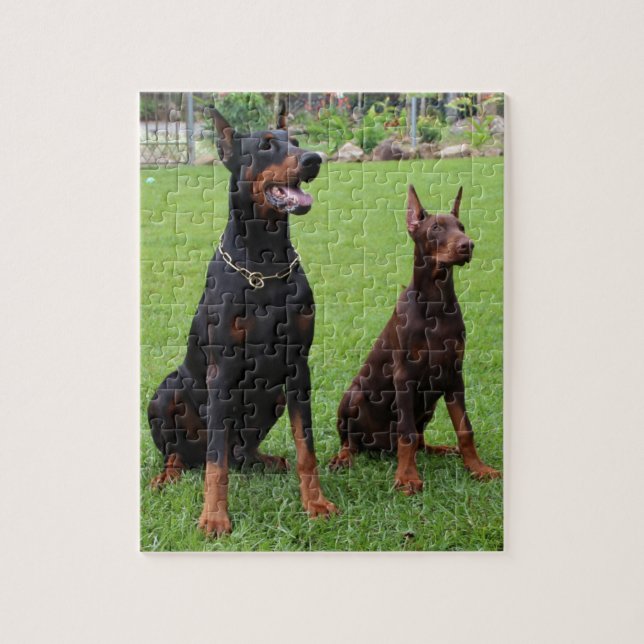 2 dobies.png jigsaw puzzle (Vertical)