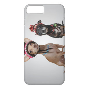 2 dogs with funny hats Case-Mate iPhone case