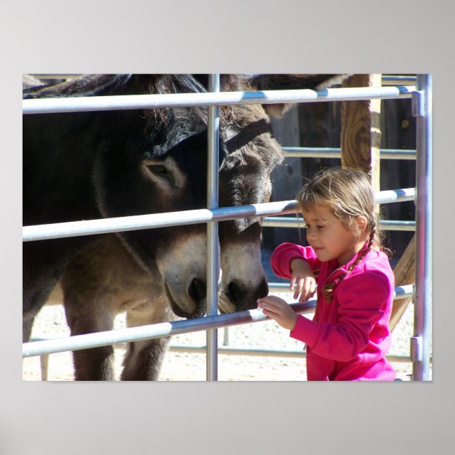 2 Donkeys at Jackalope Santa Fe NM Poster (Front)