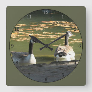 2 Ducks Swimming Square Wall Clock