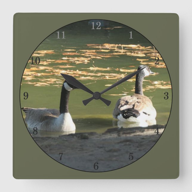 2 Ducks Swimming Square Wall Clock (Front)