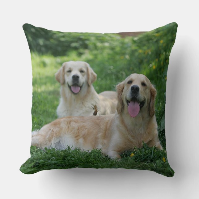 2 Golden Retrievers Laying in Grass Cushion (Front)