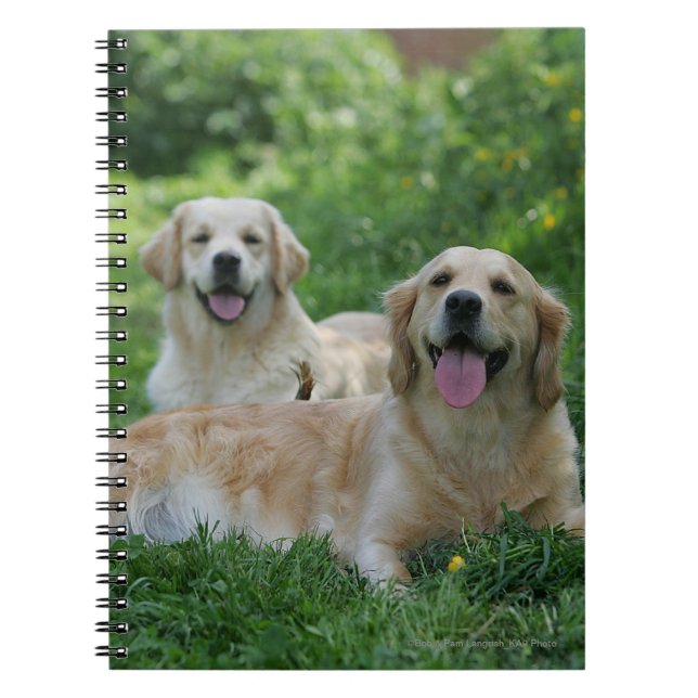 2 Golden Retrievers Laying in Grass Spiral Notebook (Front)